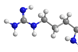L-Arginina